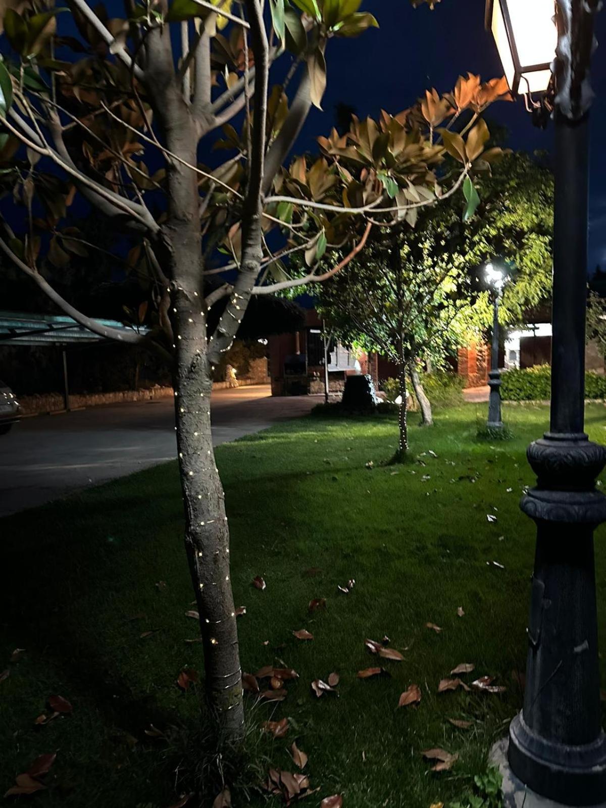 Rincon Del Cierzo Guest House Lecera Exterior photo